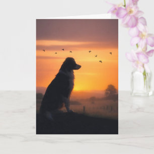Honden Sympathie Border Collie bij Zonsondergang C Kaart