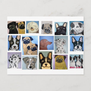 honden van eric ginsburg briefkaart
