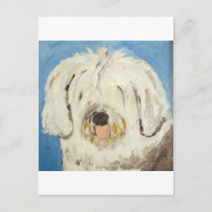 honden van eric ginsburg briefkaart