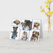 Honden van Johnston County Kaart (Gele Bloem)