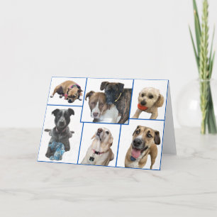 Honden van Johnston County Kaart