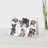 Honden van Johnston County Kaart (Voorkant)