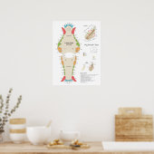 Honden Veterinair Tandheelkundig Schema Poster (Keuken)