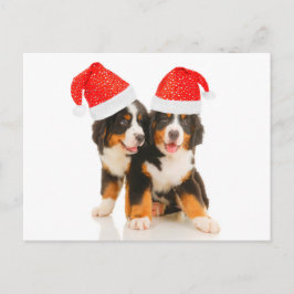 Honden wensen een vrolijk kerstfeest feestdagenkaart