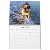 Honden willen gewoon vun hebben... kalender (Jan 2026)
