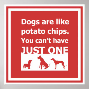 Honden zijn als chips poster