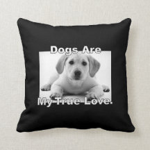Honden zijn mijn ware liefde.