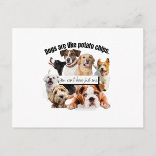 honden zijn zoals chips, je kunt niet alleen maar briefkaart