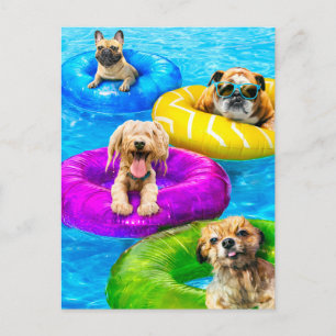 Honden zwembadfeest briefkaart