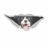 Hondenauto Stickers (Voorkant)