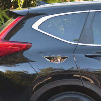 Hondenauto Stickers
