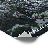 hondenboom poster (Hoek)