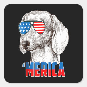 hondencadeau Cool Dachshund 'Nederland Vierkante Sticker