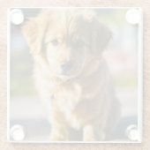 hondendecor glazen onderzetter (Achterkant)