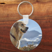 Hondenfoto op maat gepersonaliseerd