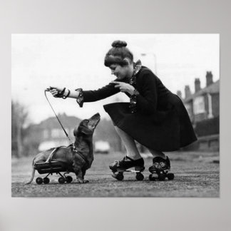 hondenfoto's Dachshund Dogs retro pet love Poster