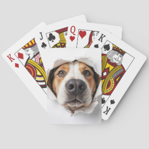 Hondenhond gluren door gescheurd papiergat pokerkaarten