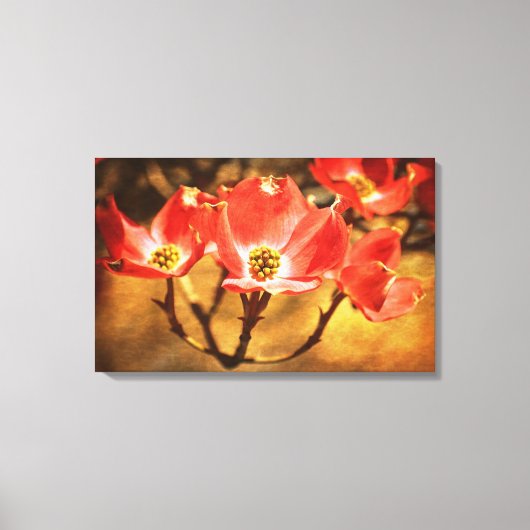 Hondenhout Lente Bloemen Canvas Afdruk (Voorkant)