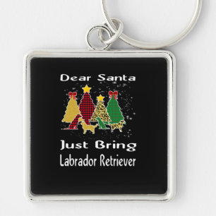 Hondenliefhebber Beste Kerstman, breng Labrador Re Sleutelhanger