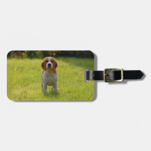 Hondenliefhebber Foto Huisdier Keepsake Bagagelabel
