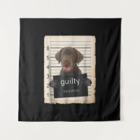 Hondenliefhebber | Guilty Chocolate Labrador Bad D