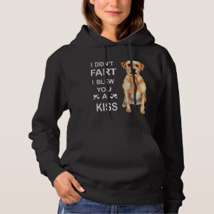 Hondenliefhebber Labrador ik heb je geen kus laten Hoodie
