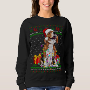 Hondenliefhebber met een lomp met kerstverlichting trui