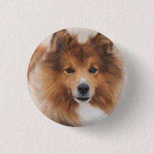 Hondenliefhebber persoonlijke foto ronde button 3,2 cm