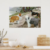  Hondenliefhebbers Art Collie Trio Poster (Keuken)
