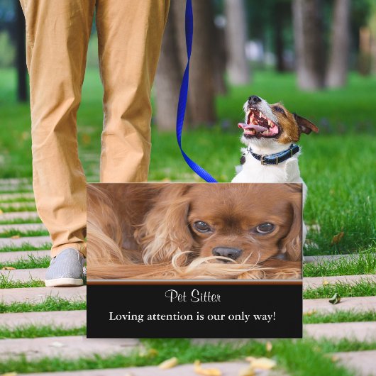 Hondenoppas Ruby Cavalier King Charles Spaniel Visitekaartje