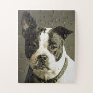 HONDENPuzzel, ZWART & WITTE HOND Legpuzzel