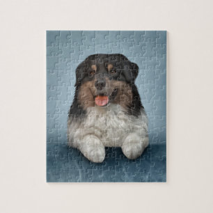 Hondenras Australian Shepherd Legpuzzel
