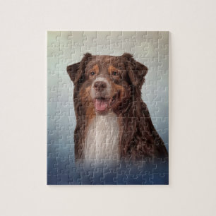 Hondenras Australian Shepherd Legpuzzel