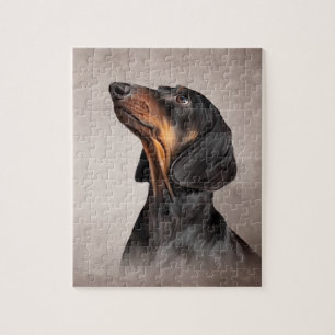 Hondenras-dachshund tekenen legpuzzel