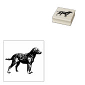 Hondenras voor labrador Retriever Rubberstempel (Gestempeld)