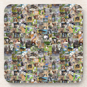 Hondenrassen fotocollage, bier onderzetter