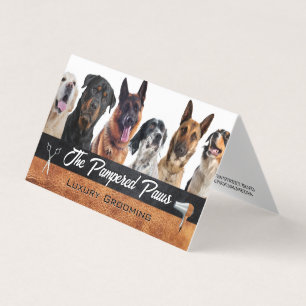 Hondenrassen   Hulpmiddelen voor het verzorgen van Visitekaartjes