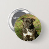 Hondenrassen Staffy Ronde Button 5,7 Cm (Voorkant /achterkant)