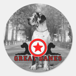 Hondenstickers Ronde Sticker