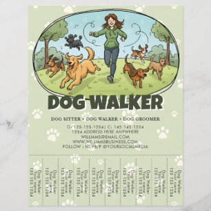 Hondenuitlater Honden uitlaten Aangepast Flyer