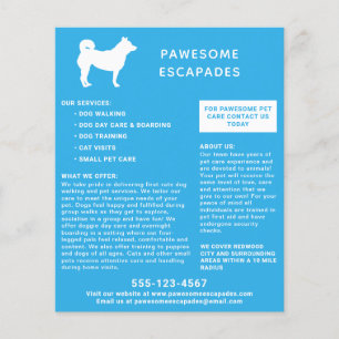Hondenuitlater & Huisdieroppasser Teal Flyer