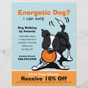 Hondenuitlater Loopadvertentie Rand Collie Flyer