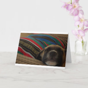 Hondje en kussen kaart
