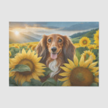 Hondje houdt van zonnebloemen Bruine Langharige Da