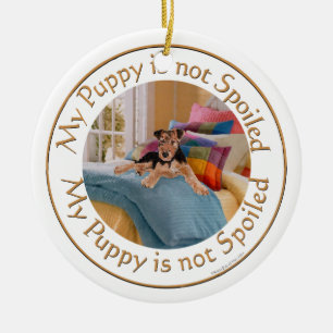 Hondje is niet verwend keramisch ornament