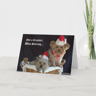 Hondje Kerstmis Feestdagen Kaart