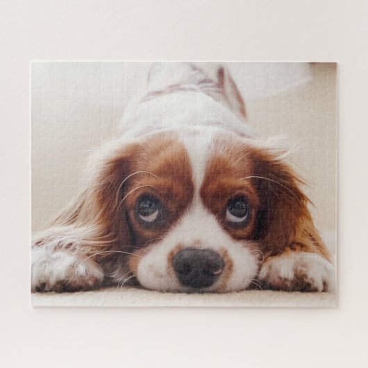 Hondje Legpuzzel (Horizontaal)