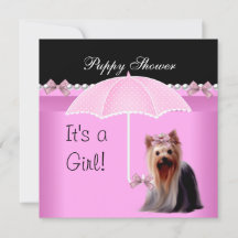Hondje Shower Schattige Hond Roze Yorkie 2