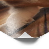 Hondjeshuis & Kinderkamer Prints Foto Afdruk (Hoek)