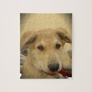 Hondjesliefde: Mensens Beste Vriend Legpuzzel